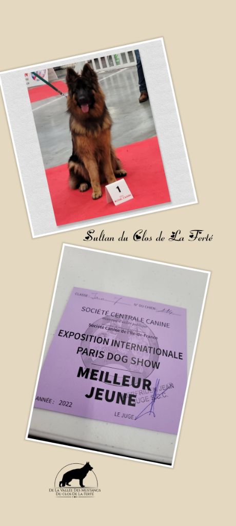 du Clos De La Ferté - Résultat Paris dog Show 2022