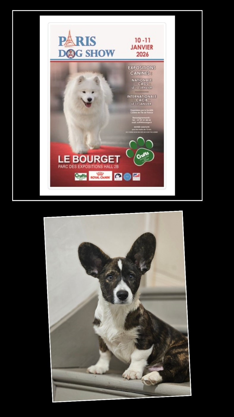 Paris dog show 2026
