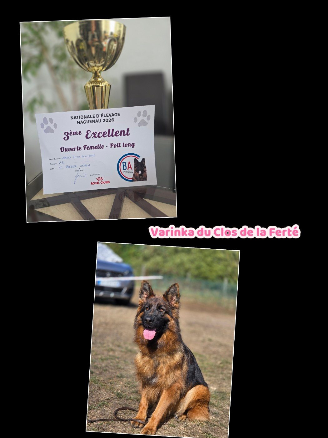 Résultat Championnat de France Ccba 2026